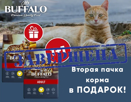 Mr.Buffalo: вторая пачка корма в подарок! Mr.Buffalo: вторая пачка корма в подарок!