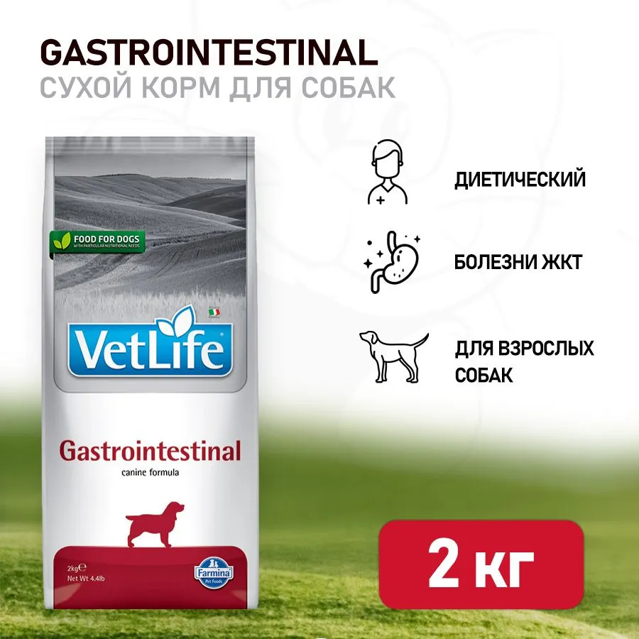 Farmina (Фармина) Vet Life Dog Gastrointestinal 2кг при ЖКТ заболеваниях  сухой для собак (5050), купить оптом в Москве, цена, характеристики,  описание - Симбио - ЗооЛэнд