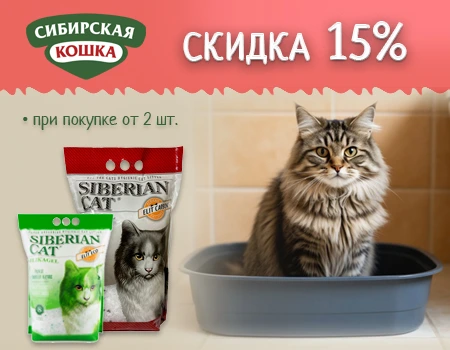 Сибирская кошка: скидка 15% при покупке от 2шт.
