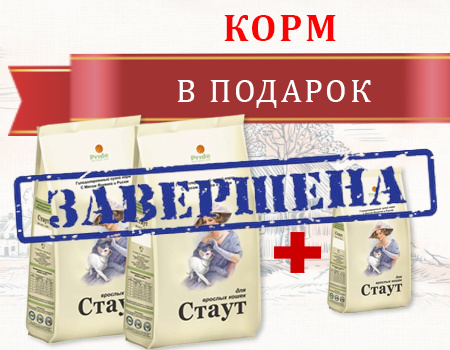 СТАУТ: корм в подарок при покупке от 2шт.
