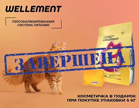 Wellement: подарок при покупке Wellement: подарок при покупке