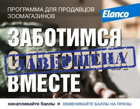 Elanco: программа мотивации для продавцов зоомагазинов