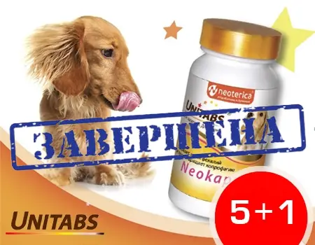 Unitabs: 5 + 1 в подарок