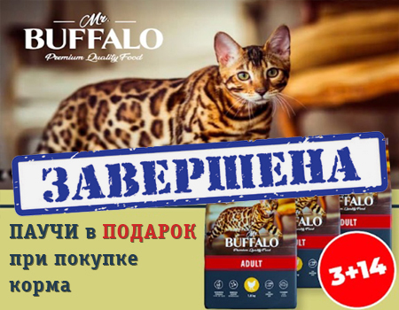 Mr.Buffalo: паучи в подарок при закупе сухого корма