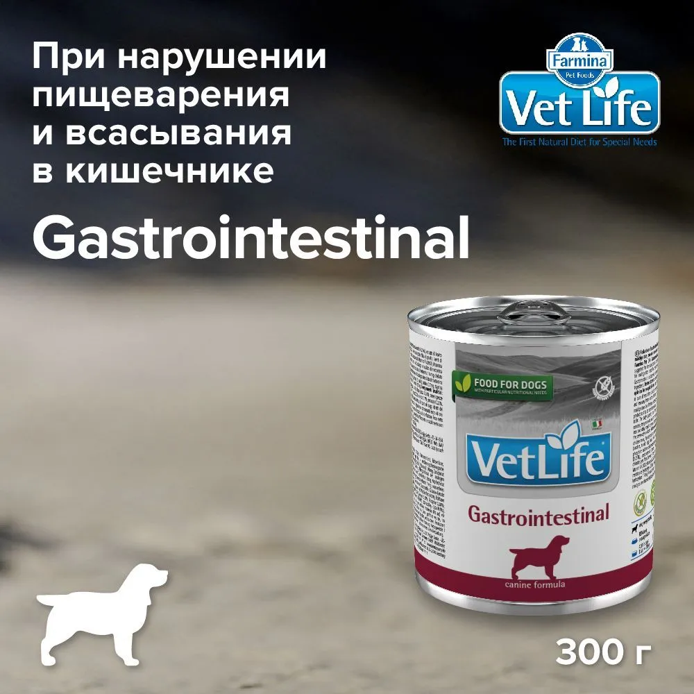 Farmina (Фармина) Vet Life Dog Gastrointestinal 0,3кг паштет консервы для собак при желудочно-кишечных заболеваниях (1301) фото