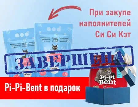 СиСиКэт: подарок за покупку