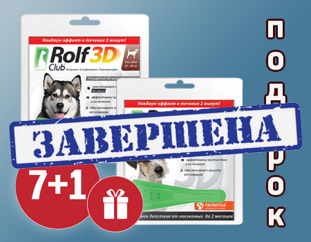 RolfClub 3D: акция 7+1 RolfClub 3D: акция 7+1