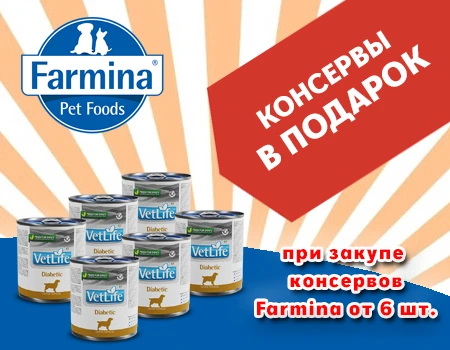 Farmina: подарок при покупке консервов от 6 шт.