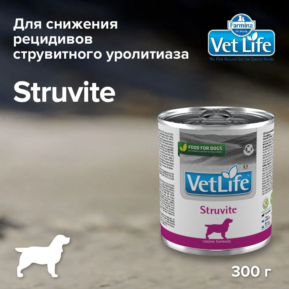 Farmina (Фармина) Vet Life Dog Struvite 0,3кг паштет при струвитах консервы для собак (1305) фото