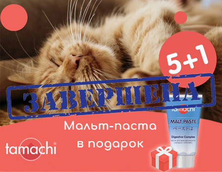 Tamachi: акция 5 + 1 Tamachi: акция 5 + 1