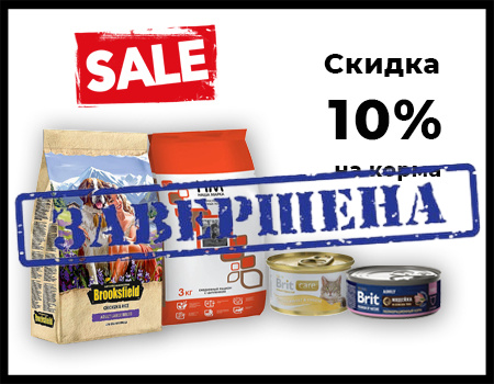 Распродажа: скидка 10% корма для кошек и собак