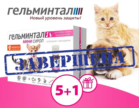 Гельминтал: акция 5 + 1 Гельминтал: акция 5 + 1