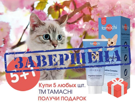 Tamachi: 5 + 1 в подарок  Tamachi: 5 + 1 в подарок