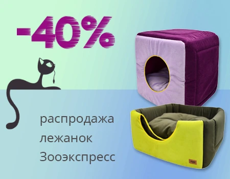Зооэкспресс: скидка 40% на лежанки