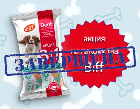 Biff: акция 3 + 1 на лакомства