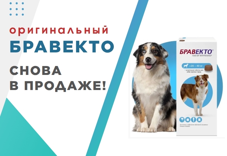 Возобновились поставки Бравекто (СИМИБИО-УРАЛ) Возобновились поставки Бравекто (СИМИБИО-УРАЛ)