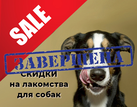 Распродажа: лакомства для собак со скидкой 10%