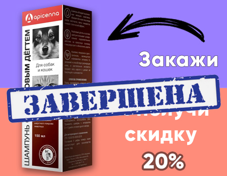 Скидка 20% на шампунь с березовым дегтем Скидка 20% на шампунь с березовым дегтем