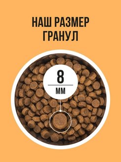 Bowl Wow 0,4кг с индейкой и тыквой сухой для кошек с чувствительным пищеварением (660170) фото Bowl Wow 0,4кг с индейкой и тыквой сухой для кошек с чувствительным пищеварением (660170) фото