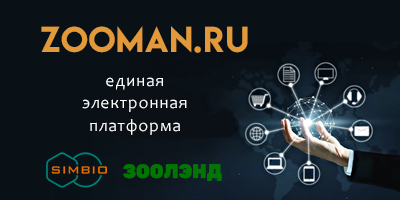 Zooman.ru — единая электронная платформа ГК "СИМБИО"