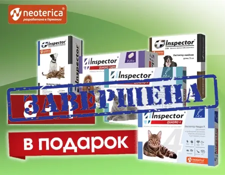 INSPECTOR: акция 8 + 1