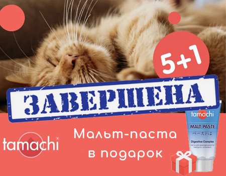 Tamachi: 5 + 1 в подарок! Tamachi: 5 + 1 в подарок!
