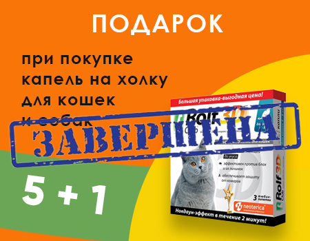 RolfClub: акция 5 + 1 в подарок 