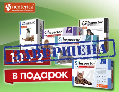 Inspector: 10 + 2 в подарок 