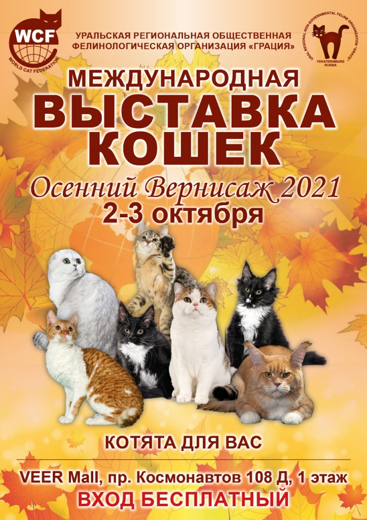 WhatsApp Image 2021-09-21 at 16.06.02.jpeg WhatsApp Image 2021-09-21 at 16.06.02.jpeg