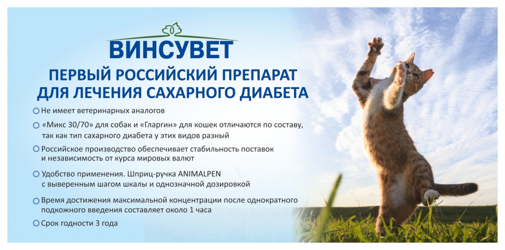 Листовка Винсувет-печать_page-0001.jpg Листовка Винсувет-печать_page-0001.jpg