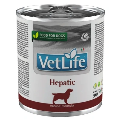 Farmina (Фармина) Vet Life Dog Hepatic 0,3кг паштет для собак при заболеваниях печени (106381) фото Farmina (Фармина) Vet Life Dog Hepatic 0,3кг паштет для собак при заболеваниях печени (106381) фото