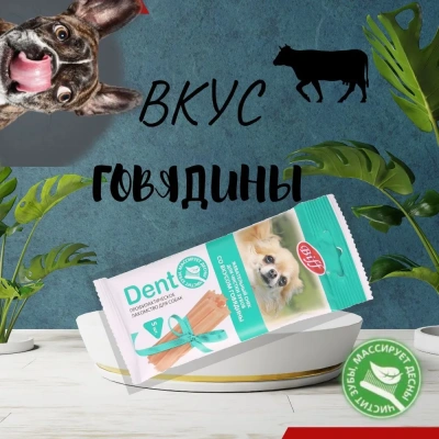 Biff 0,035кг Dent снек для чистки зубов (5 шт) со вкусом говядины для собак мелких пород фото