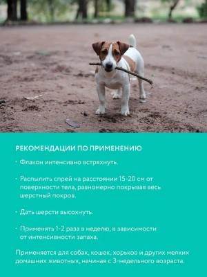 Спрей (VEDA) дезодорирующий 0,2л фото