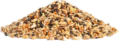 Rio 20кг основной рацион для канареек (786121) фото