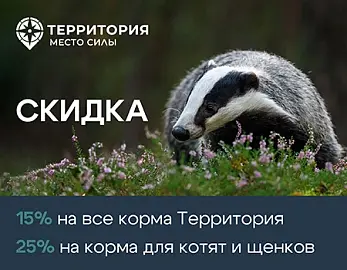 ТерриториЯ: скидки 15% и 25%