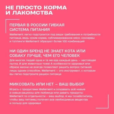 Wellement 0,35кг корм для взрослых кошек с индейкой фото