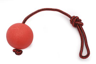 Игрушка (Wogy) Мяч d=7см литой с ручкой l=32см, для собак фото