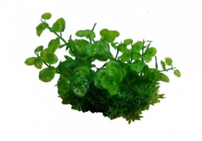 Композиция (PRIME) 624 из пластиковых растений 15см