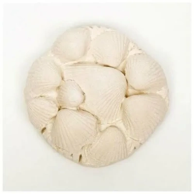 Эльф 0,015кг минеральный камень для водных черепах фото Эльф 0,015кг минеральный камень для водных черепах фото