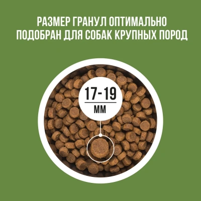 Bowl Wow 5кг ягненок, индейка с рисом и цукини сухой для собак крупных пород  (661863) фото