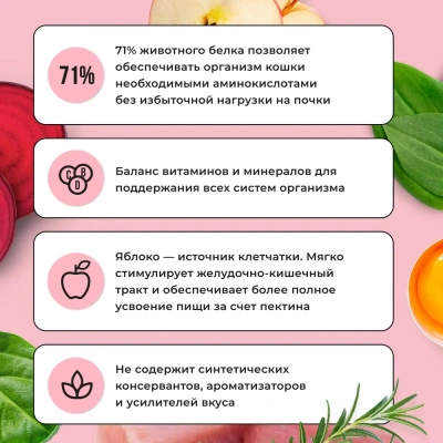 Bowl Wow 8кг с индейкой и яблоком сухой для кошек (660101) фото