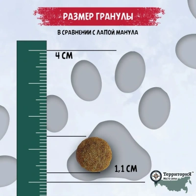 ТерриториЯ Кавказ Индейка с морошкой для кошек крупных пород, 1,5 кг (562722) фото ТерриториЯ Кавказ Индейка с морошкой для кошек крупных пород, 1,5 кг (562722) фото