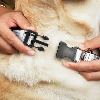 Ошейник (Buckle-Down) Звездные войны Ремень штурмовика с пластиковой застежкой 28-43см фото