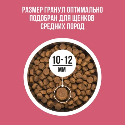 Bowl Wow 0,8кг ягненок, индейка с рисом и брусникой сухой для щенков средних пород  (662020) фото Bowl Wow 0,8кг ягненок, индейка с рисом и брусникой сухой для щенков средних пород  (662020) фото