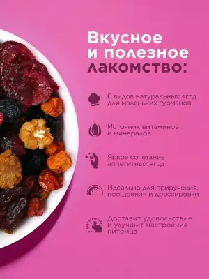Little One 0,18кг лакомство Ягодное ассорти длоя всех видов грызунов, New (81759) фото