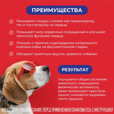 Авекардит 10мг для крупных собак, 28 табл. (ЛИЦЕНЗИЯ) фото Авекардит 10мг для крупных собак, 28 табл. (ЛИЦЕНЗИЯ) фото