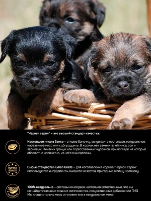 Четвероногий гурман 0,1кг Golden Line Курица с потрошками в желе для щенков (547004) фото Четвероногий гурман 0,1кг Golden Line Курица с потрошками в желе для щенков (547004) фото