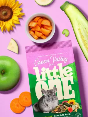 Little One 0,75кг Зеленая долина корм из разнотравья для шиншилл фото