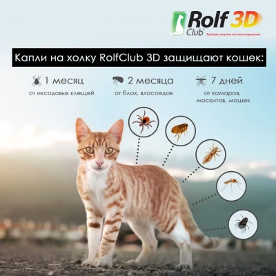 RolfClub 3D (3пип) капли от клещей, блох и комаров для кошек более 4кг (ЛИЦЕНЗИЯ) фото RolfClub 3D (3пип) капли от клещей, блох и комаров для кошек более 4кг (ЛИЦЕНЗИЯ) фото