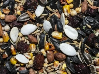 Вака 0,8кг ЛЮКС корм для крупных попугаев фото